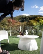 TOTO - MALE (PURCHASED by TOM) - Image 8