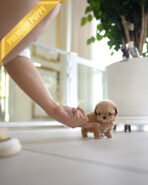 SKY - MALE (PURCHASED by OLIVIA) - Image 4