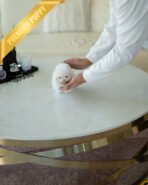 BOO - MALE (PURCHASED by LEE) - Image 6