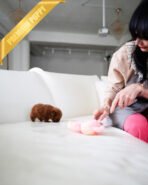 FINN - MALE - Image 5