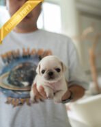 WRINKLES - FEMALE (PURCHASED by CHEN) - Image 2