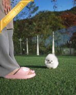 KYLE - MALE (PURCHASED by JESSICA) - Image 3