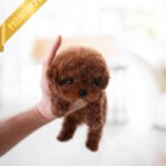 DAPHNE  - FEMALE (PURCHASED by JEANETTE)