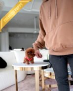 MONTY - MALE (PURCHASED by NICK) - Image 4