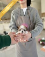 BENNY - MALE (PURCHASED by AKIRA) - Image 3