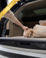 HUGO - MALE (PURCHASED by MARIAM) - Image 5