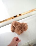 CHANEL - FEMALE (PURCHASED by LISA) - Image 3