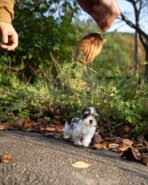 SASHA - FEMALE (PURCHASED by ANONYMITY) - Image 3