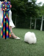 KYLE - MALE (PURCHASED by DIANA) - Image 4