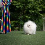 TAYLOR - MALE (PURCHASED by ZONG)