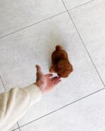 DOLCE - FEMALE (PURCHASED by JANET) - Image 6