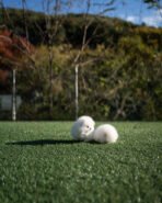 DOROTHY - FEMALE (PURCHASED by AN) - Image 8