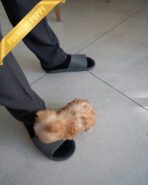 LOUIS - MALE (PURCHASED by SIBILLA) - Image 5