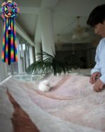 MERLIN - MALE (PURCHASED by HASAN) - Image 4