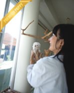 SKYLAR - FEMALE (PURCHASED by MARC) - Image 2