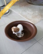 CHARLOTTE - FEMALE (PURCHASED by HEIDI) - Image 6