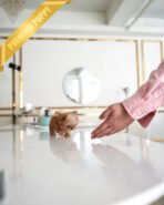 LOUIS - MALE (PURCHASED by SIBILLA) - Image 3