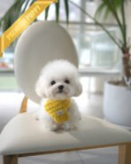 GIGI - FEMALE (PURCHASED by LAUREN)