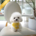 GIGI - FEMALE (PURCHASED by LAUREN)