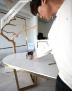 SASHA - FEMALE (PURCHASED by PAUL) - Image 6