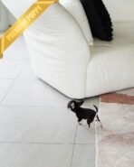 MIMI - FEMALE (PURCHASED by ALEN) - Image 4