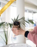 NEW BABIES - FEMALE (PURCHASED by ELISE & CYNTHIA) - Image 6