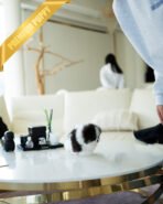 PANDA - MALE (PURCHASED by KIMBERLY) - Image 6