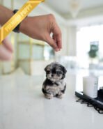 DIOR - FEMALE (PURCHASED by ANONYMOUS) - Image 2