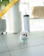 MASON - MALE (PURCHASED by EMMA) - Image 3