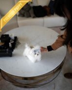 GRACE - FEMALE - Image 5