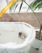 DORAEMON - MALE (PURCHASED by ANONYMITY) - Image 9