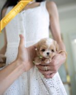 MELINA - FEMALE (PURCHASED by ANT)