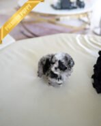 COCO - FEMALE (PURCHASED by ALICIA) - Image 2