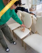 FIDO - MALE (PURCHASED by DUYGU) - Image 6