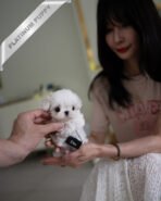 VALENTINA - FEMALE (PURCHASED by MARIANA)