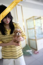 CHANEL - FEMALE (PURCHASED by RT) - Image 3