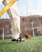 BONNIE - FEMALE (PURCHASED by SOFIA) - Image 4