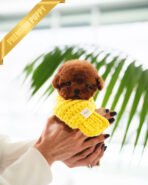 MONTY - MALE (PURCHASED by JUSTINA) - Image 2