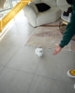 TOBY - MALE (PURCHASED by SIRIRAT)) - Image 5