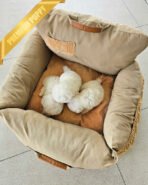 LADY & POLAR & TOBY - FEMALE & MALE - Image 4