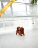 CHARLOTTE & BIANCA - FEMALE - Image 6