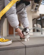 AUTUMN - FEMALE (PURCHASED by ITALIA) - Image 5