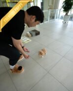 MARCO - MALE (PURCHASED by NAPAVILAI) - Image 4