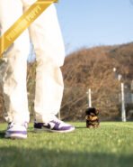 KOFI - MALE (PURCHASED by ASPEN) - Image 7