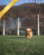 LYRA - FEMALE (PURCHASED by LULU) - Image 4