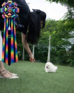 KYLE - MALE (PURCHASED by DIANA) - Image 5