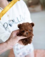 JESSICA - FEMALE (PURCHASED by ZHE) - Image 2