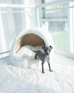 VITO - FEMALE (PURCHASED by ESTEFANIA)