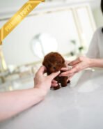 MITCH - MALE (PURCHASED by NOA) - Image 2