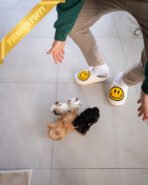 NEW BABIES - FEMALE (PURCHASED by ELISE & CYNTHIA) - Image 7